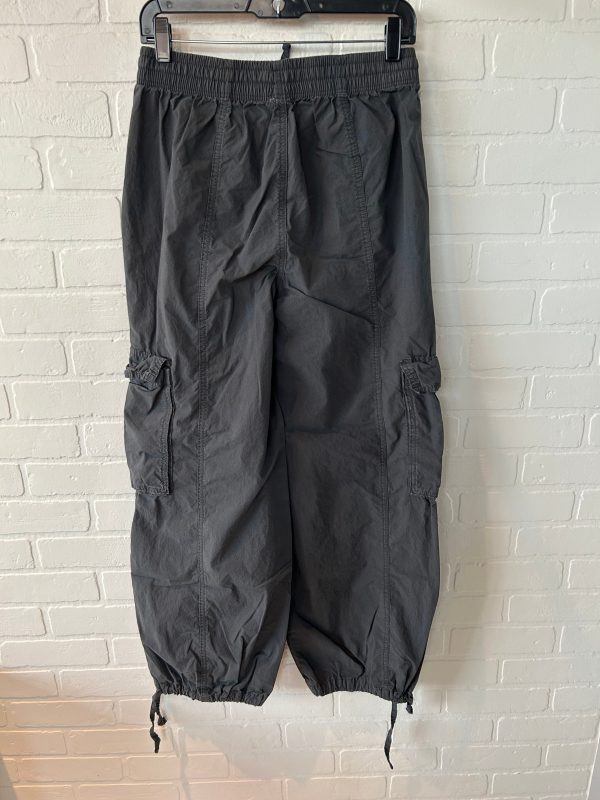 Pants Cargo & Utility By Aerie In Grey, Size: S Supply